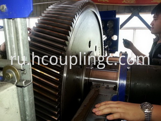 Alloy Steel Gear